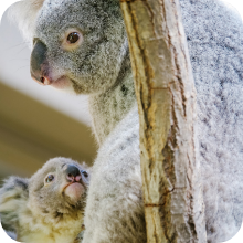 動物園・植物園・水族館
